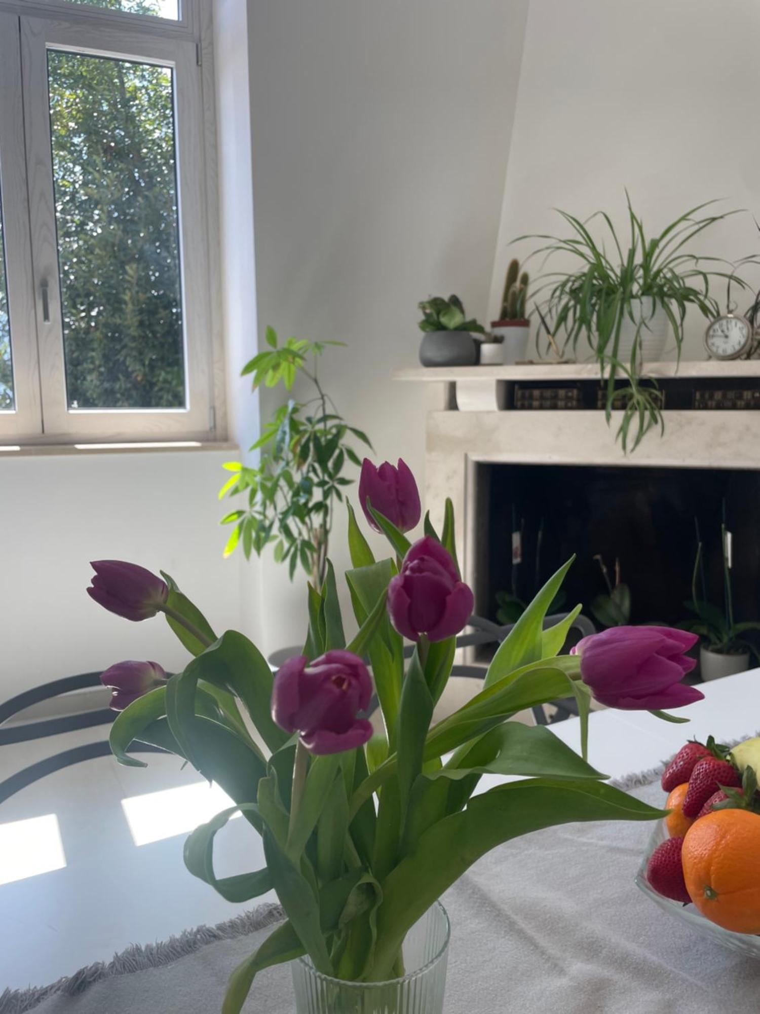 La Casa De Lu Barone Apartment San Demetrio ne' Vestini Bagian luar foto